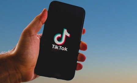 plataforma D5betcom｜Pesquisa do TikTok